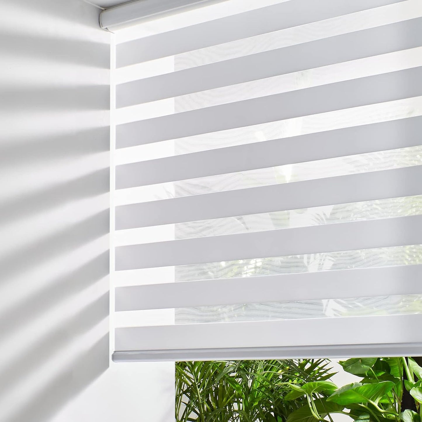 Persilux Zebra Blinds for Windows, Cordless Roller Shades for Windows Room Darkening Roller Blinds (44" W x 72" H, White) Light Control for Day and Night Light Filtering Sheer Shades for Home