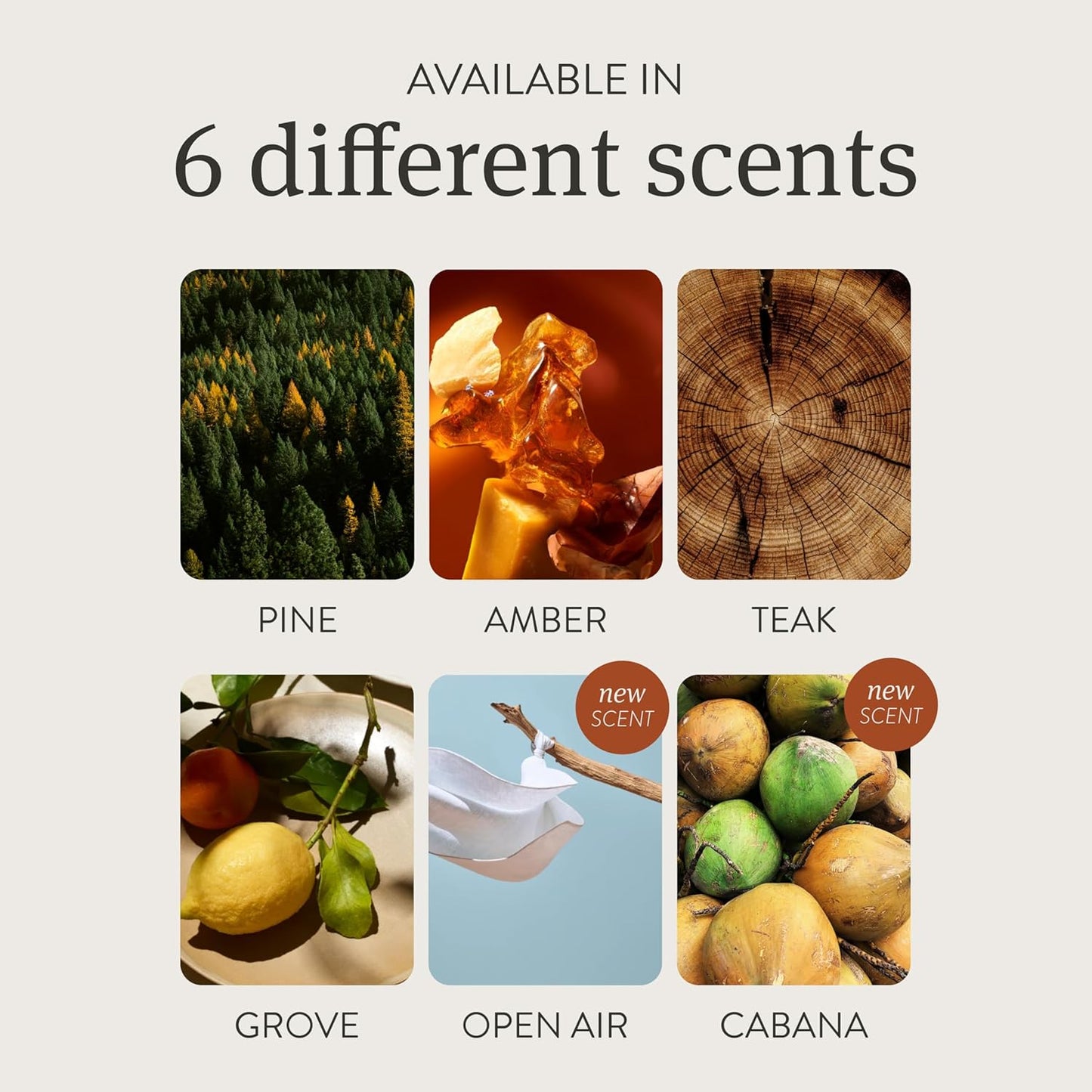 Drift on Amazon Wood Air Freshener Starter Kit - Great Wave